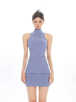 Sleeveless Turtleneck Ribbed Bodycon Dress 37 Sleeveless Turtleneck Ribbed Bodycon Dress -Modern Wear Shop a7617d455605248225ef87b3f8441681